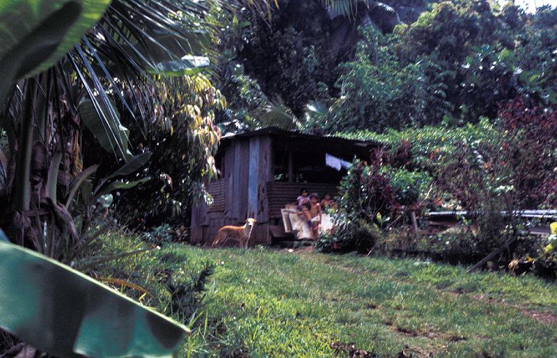 FranzPoly-09-Seib-1994.jpg - Squatter Settlement, outer Papeete (© Roland Seib)