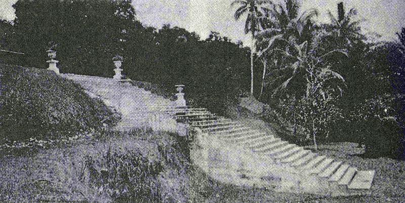 PNG7-32e-Robson004.jpg - The famous terrace steps at Gunantambu (source: Robert Williams Robson: Queen Emma, Queensland 1994, first published 1965, p. 142 R)
