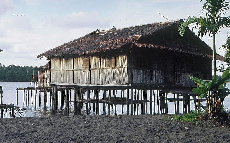 Papua1-65-Seckelmann.jpg - House in Warembori village, Mamberamo region (Photo by Astrid Seckelmann 2006)