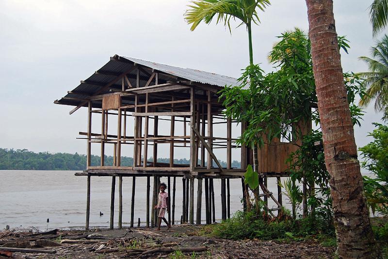 Papua1-67-Bicks.jpg - Warembori – House under construction, Mamberamo river (2008)(Photo by Anne Bicks)