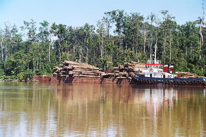 Papua1-73-Zoellner.jpg - Illegal logging at Bintuni bay (2008)(Photo by Siegfried Zöllner)