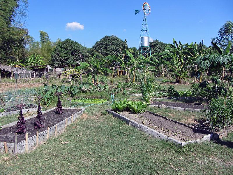 Philippines-02-Zabel-2012.jpg - Garden of the “Haven for Ecological and Alternative Living” (HEAL), established by the Medical Mission Sisters, Villasis, Pangasinan, Luzon (Photo by Dieter Zabel)