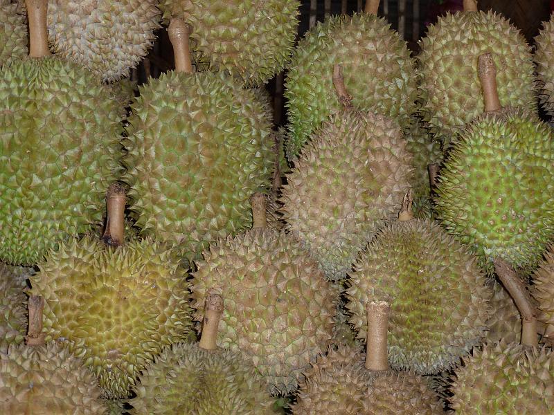 Philippines-65-Gantert-2012.JPG - Durian fruit (Photo by Stephanie Gantert)