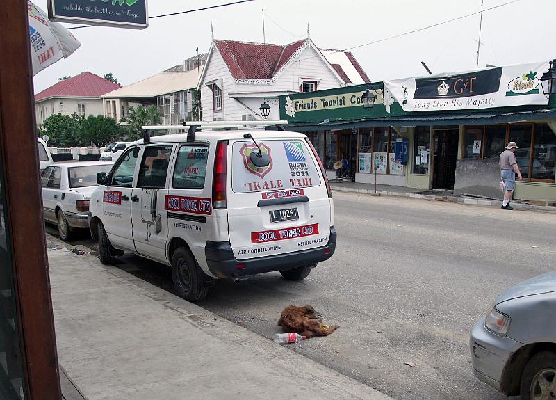 Tonga-24-Seib-2011.jpg - Dead dog and rubbish in Nuku´alofa´s Taufa´ahau Road (Photo by Roland Seib).