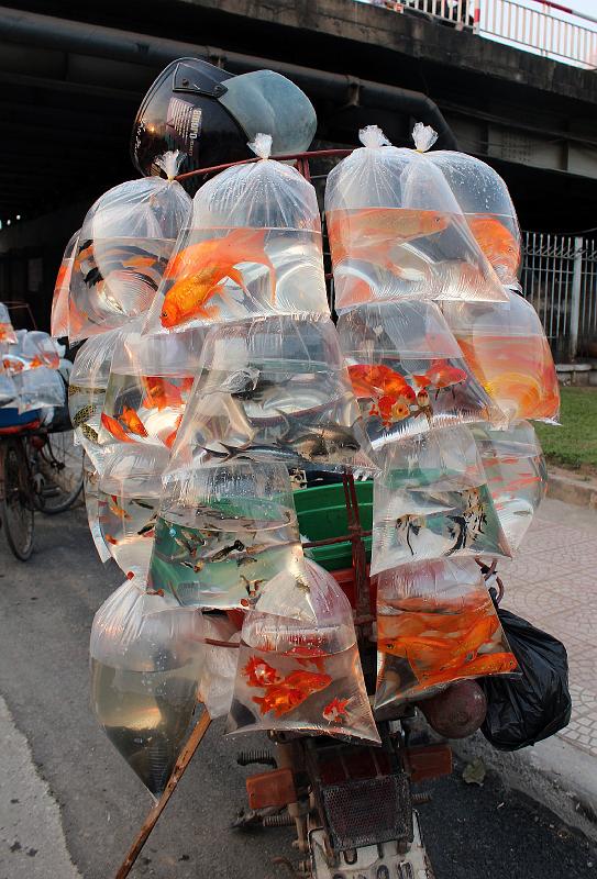 Vietnam-06-Unterkoefler-2013.jpg - Mobile fish market under Long-Bien bridge Hanoi (Photo by Alexander Unterköfler)