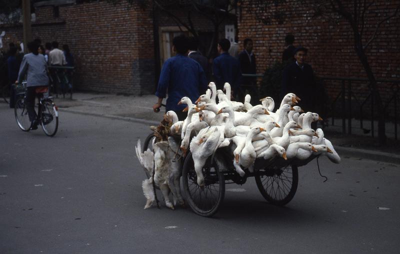 China-18b-Seib-1986.jpg - ditto (© Roland Seib)