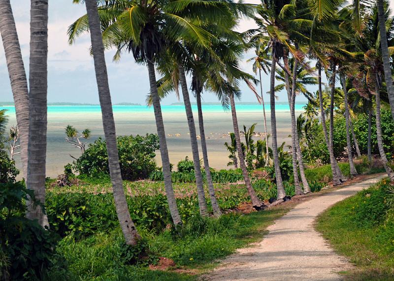 Cook-63-Seib-2011.jpg - Eastern island road (Photo by Roland Seib)