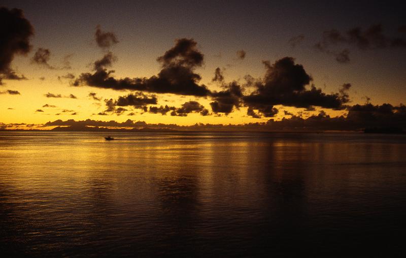 FranzPoly-12-Seib-1994.jpg - Moorea (© Roland Seib)