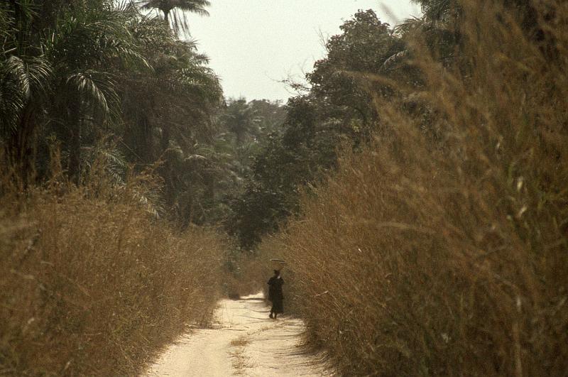 Guinea-13-Seib-1983.jpg - (photo: Roland Seib)