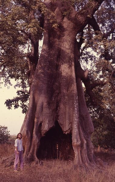 Guinea-18-Seib-1983.jpg - (photo: Roland Seib)