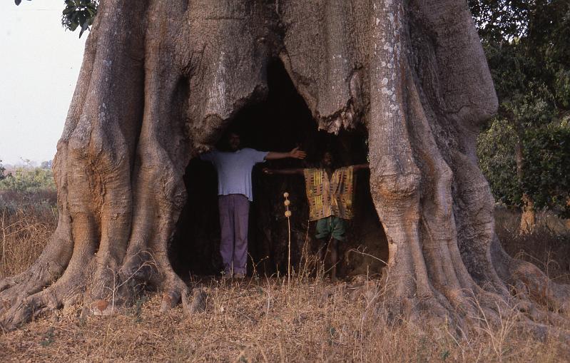 Guinea-19-Seib-1983.jpg - (photo: Roland Seib)