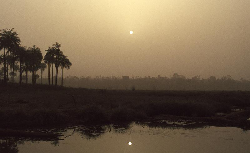 Guinea-24-Seib-1983.jpg - (photo: Roland Seib)