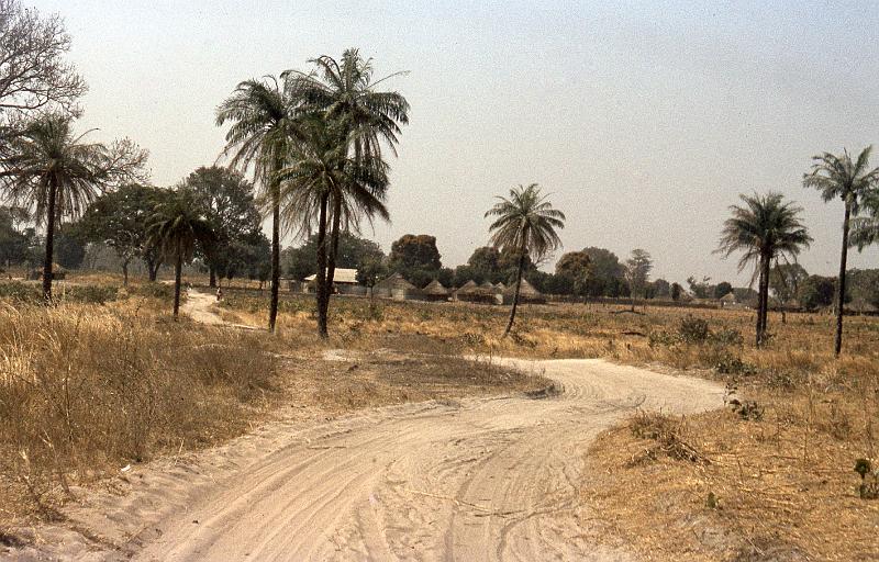 Guinea-29-Seib-1983.jpg - (photo: Roland Seib)