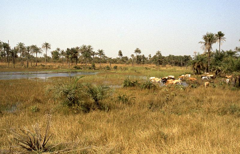 Guinea-30-Seib-1983.jpg - Overland trip (photo: Roland Seib)