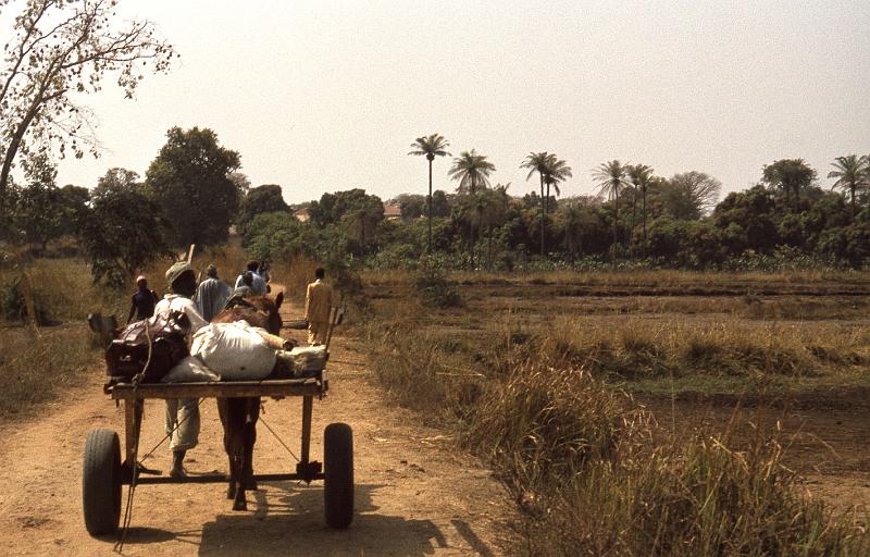 Guinea-34-Seib-1983.jpg - (photo: Roland Seib)