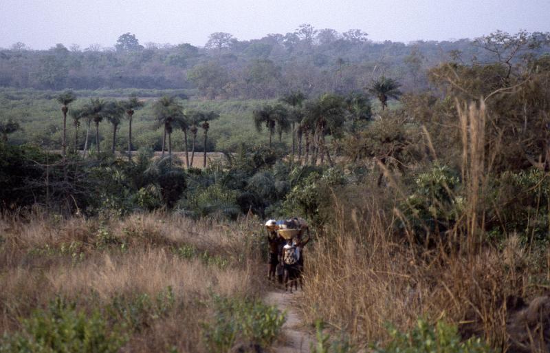 Guinea-36-Seib-1983.jpg - (photo: Roland Seib)