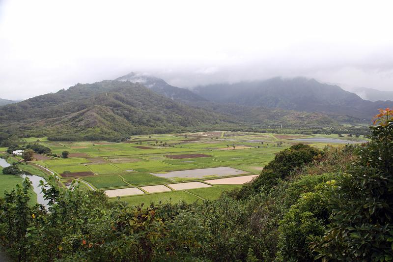 Hawaii-06-Unterkoefler-2010.jpg - Kauai (Photo by Dieter Unterköfler)