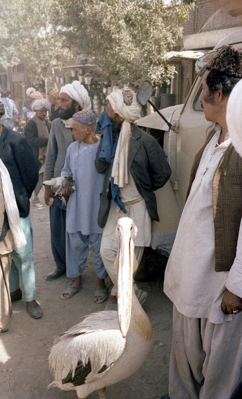 India-08-Seib-1978.jpg - ditto (© Roland Seib)