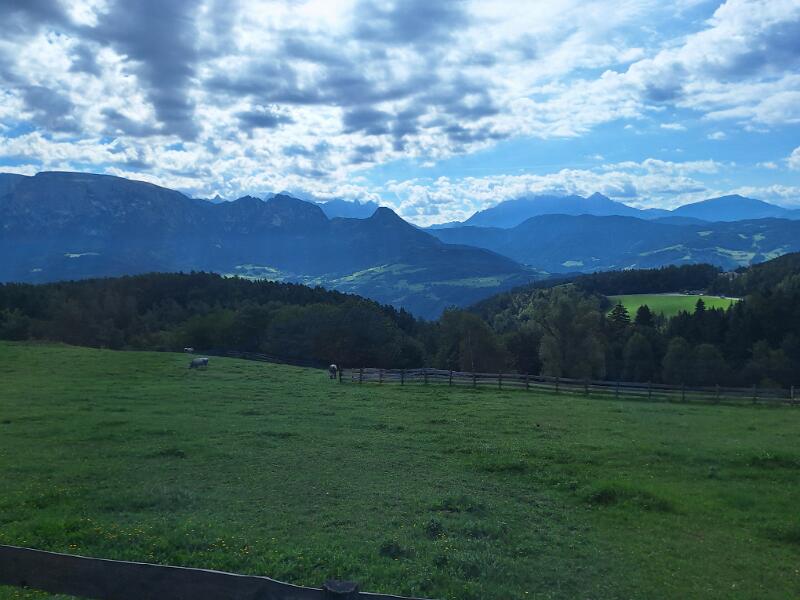 Italy-11-Seib-2026.jpg - (Photo by Roland Seib)