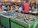 Laos2-12-Seib-2026