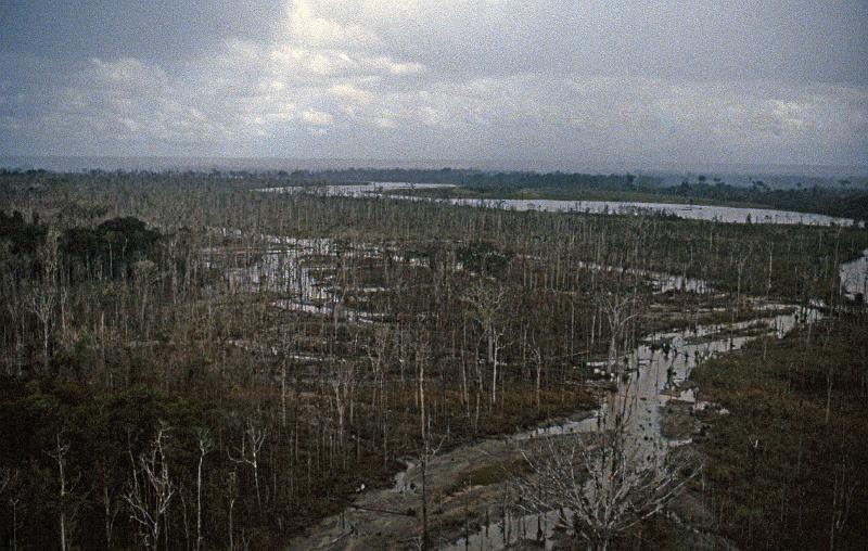 Mining-18-Seib-1997.jpg - Massive dieback of vegetation caused by over-bank flooding and sediment deposition (Photo by Roland Seib)