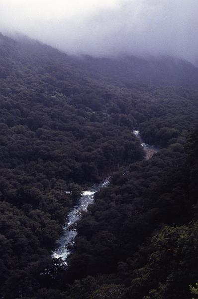 NZ2-21-Seib-1998.jpg - (photo by Roland Seib)