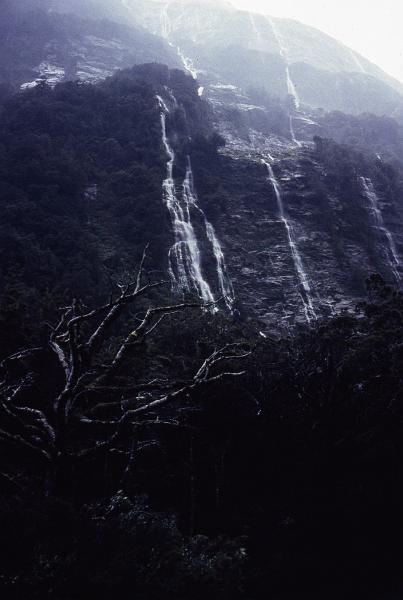 NZ2-23-Seib-1998.jpg - (photo by Roland Seib)