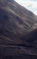 NZ2-08-Seib-1998