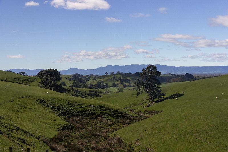 NZ-07-Bertsch-2016.jpg - (Photo by Johannes Bertsch)