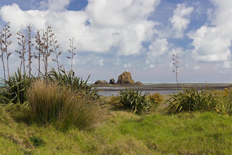 NZ-13-Bertsch-2016.jpg - (Photo by Johannes Bertsch)