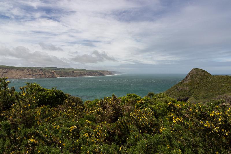 NZ-17-Bertsch-2016.jpg - (Photo by Johannes Bertsch)