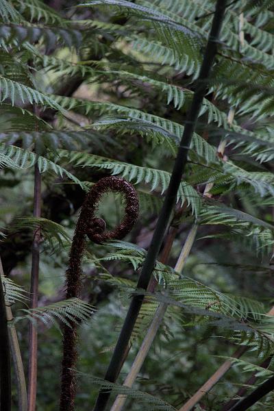 NZ-23-Bertsch-2016.jpg - (Photo by Johannes Bertsch)