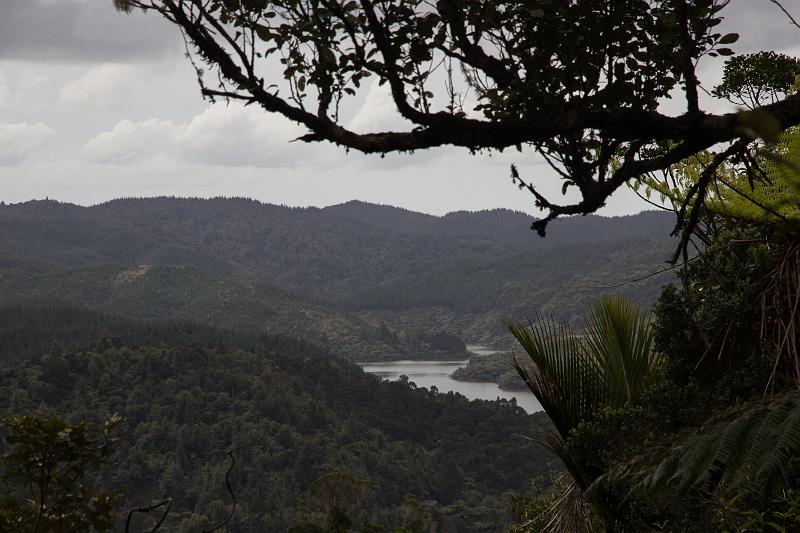 NZ-24-Bertsch-2016.jpg - (Photo by Johannes Bertsch)