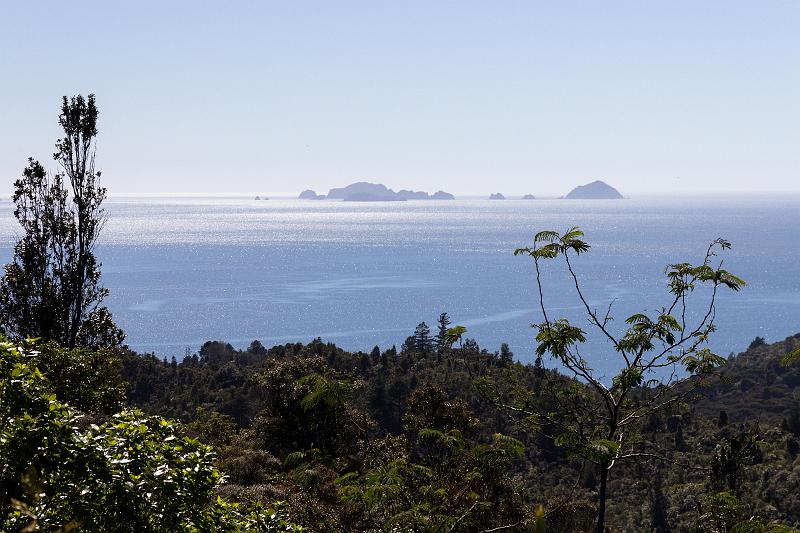 NZ-26-Bertsch-2016.jpg - Coromandel Peninsula (Photo by Johannes Bertsch)