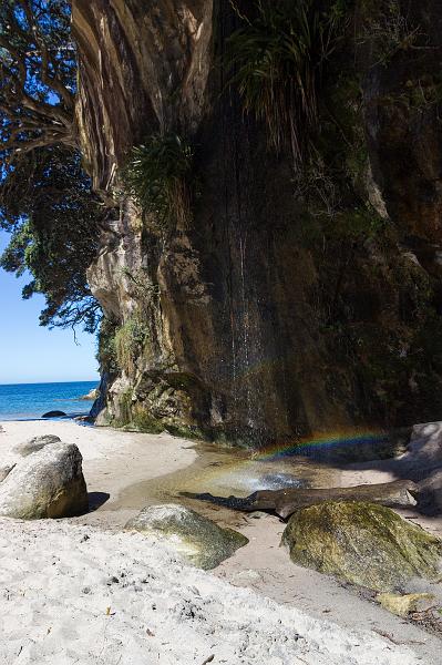 NZ-30-Bertsch-2016.jpg - (Photo by Johannes Bertsch)