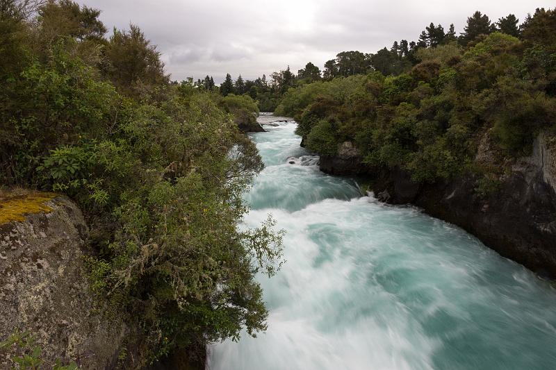 NZ-38-Bertsch-2017.jpg - (Photo by Johannes Bertsch)