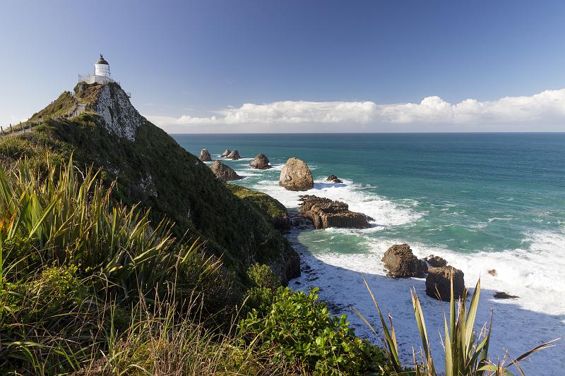 NZ-41-Bertsch-2017.jpg - Catlins (Photo by Johannes Bertsch)
