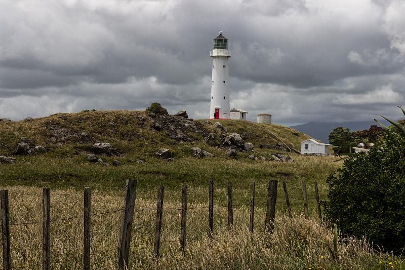 NZ-49-Bertsch-2017.jpg - (Photo by Johannes Bertsch)