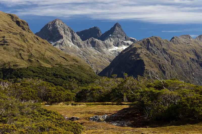 NZ-59-Bertsch-2017.jpg - (Photo by Johannes Bertsch)