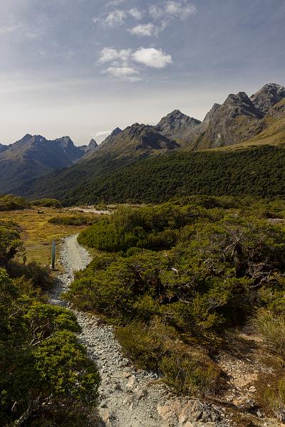NZ-60-Bertsch-2017.jpg - (Photo by Johannes Bertsch)