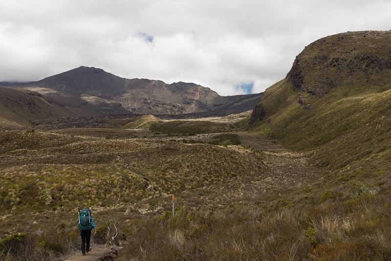 NZ-61-Bertsch-2017.jpg - Tongariro National Park (Photo by Johannes Bertsch)