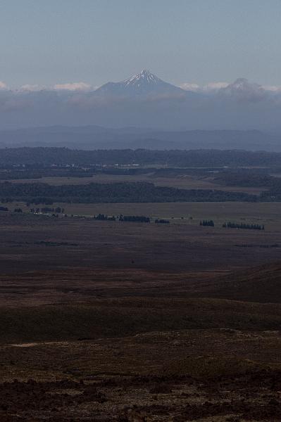 NZ-62-Bertsch-2017.jpg - (Photo by Johannes Bertsch)