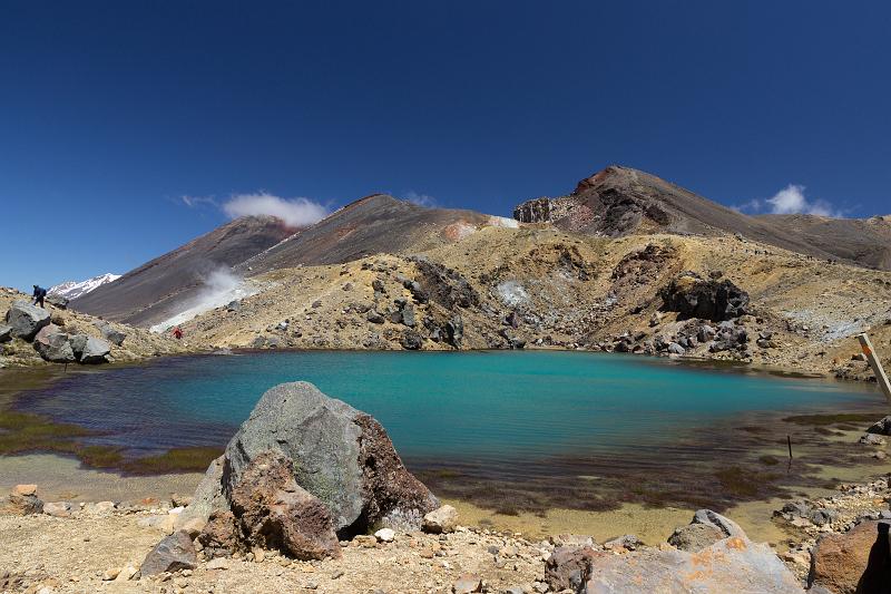 NZ-64-Bertsch-2017.jpg - (Photo by Johannes Bertsch)