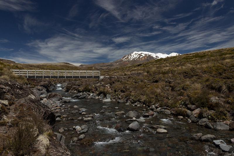 NZ-66-Bertsch-2017.jpg - (Photo by Johannes Bertsch)