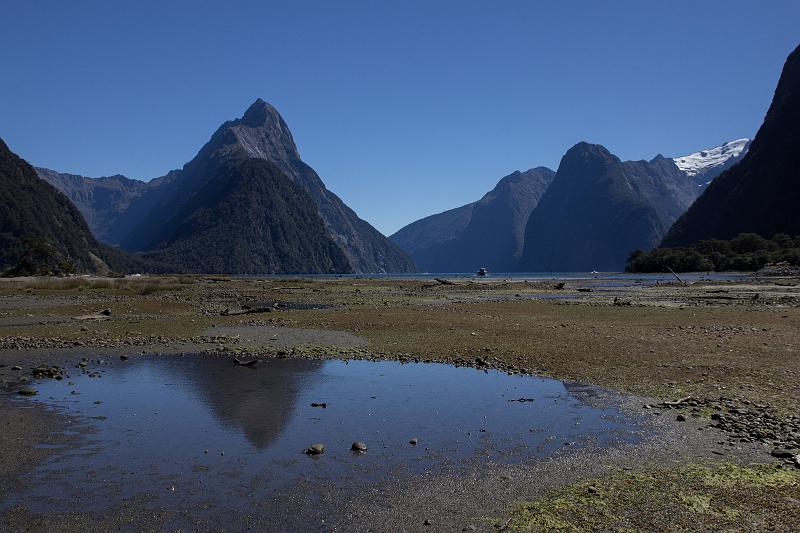 NZ-70-Bertsch-2017.jpg - (Photo by Johannes Bertsch)