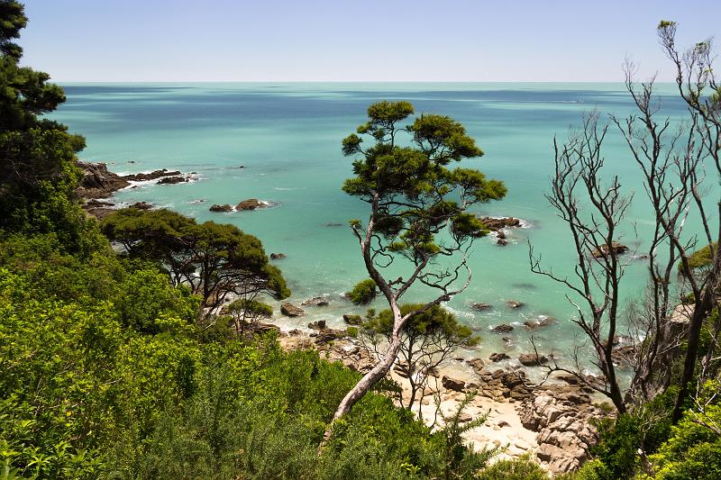 NZ-85-Bertsch-2017.jpg - (Photo by Johannes Bertsch)