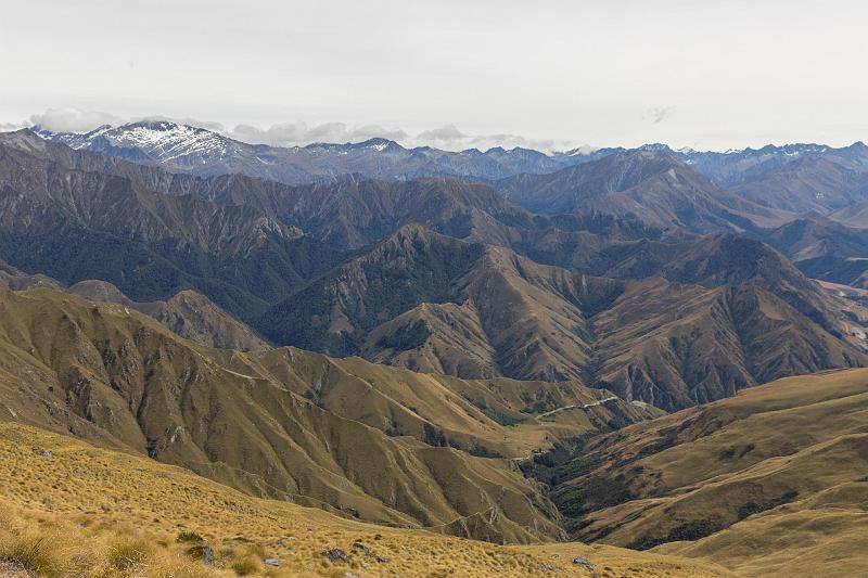 NZ-93-Bertsch-2017.jpg - (Photo by Johannes Bertsch)