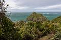 NZ-16-Bertsch-2016