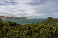 NZ-17-Bertsch-2016