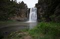 NZ-22-Bertsch-2016